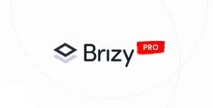 Brizy Pro download