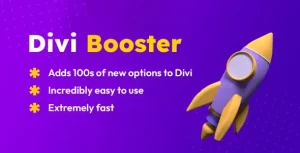 Divi Booster