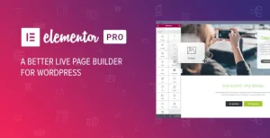 Elementor PRO Download