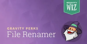 Gravity Forms File Renamer